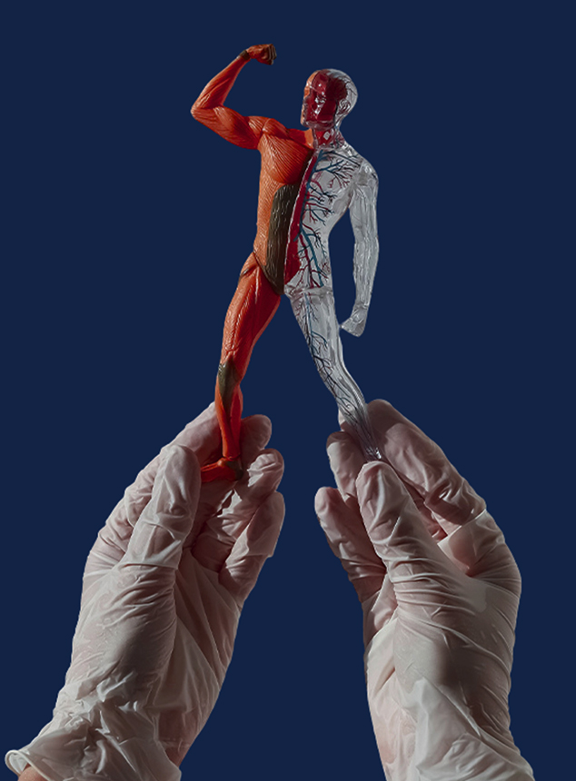 Investment Diligence in the Indian Dialysis Market