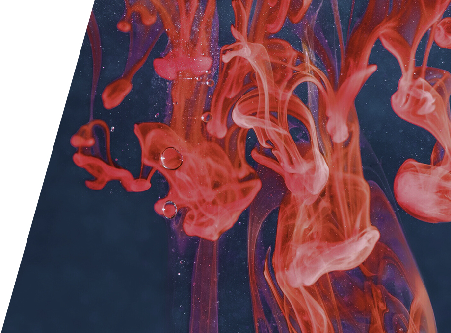 Investment Diligence in the Indian Dialysis Market